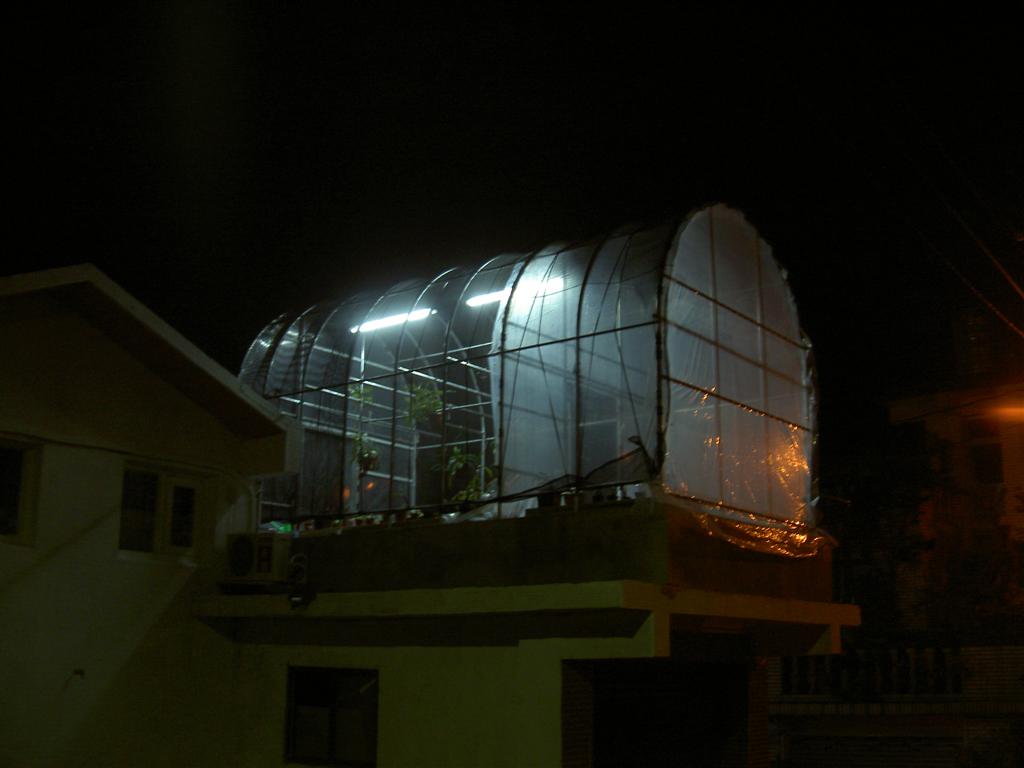 Greenhouse by Night